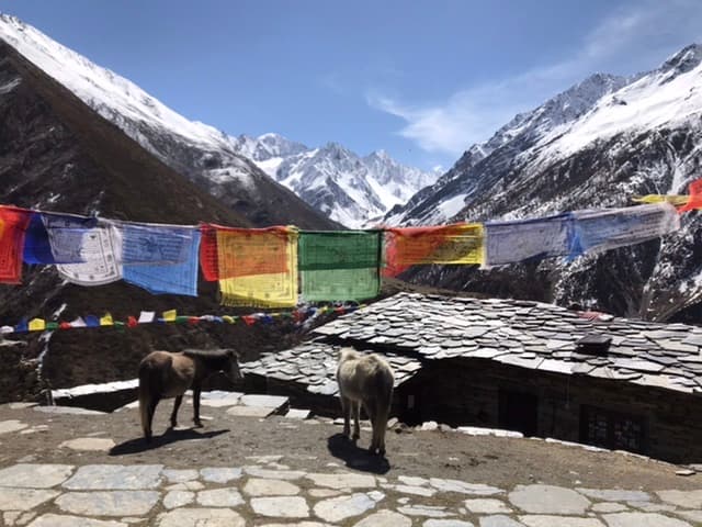 Historic Buddhist monastery of Mu Gompa in Tsum Valley Nepal
