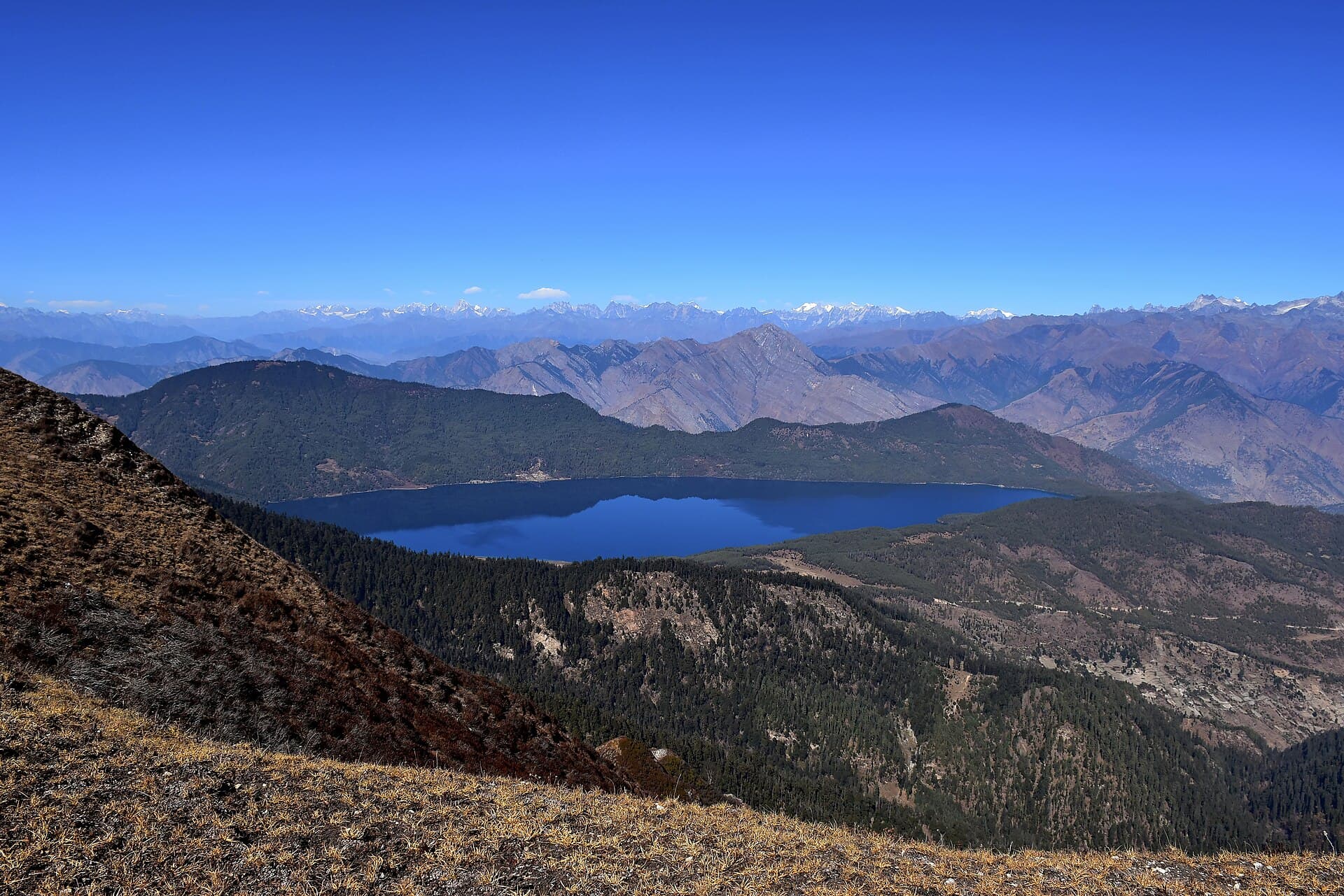 Pristine blue waters of Rara Lake surrounded by pine forest in Nepal